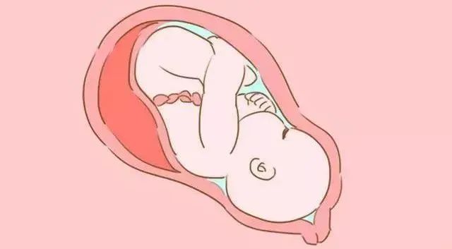 为什么孕周与胎儿实际大小不一致？原因都在这里~