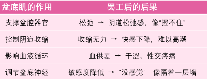 盆底肌的作用 盆底肌的作用