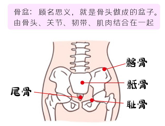 产后康复2