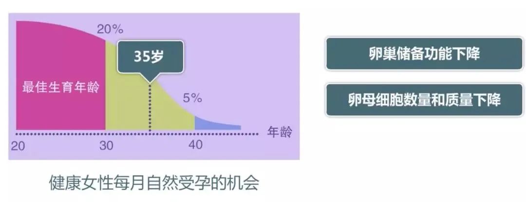 备孕生育力评估