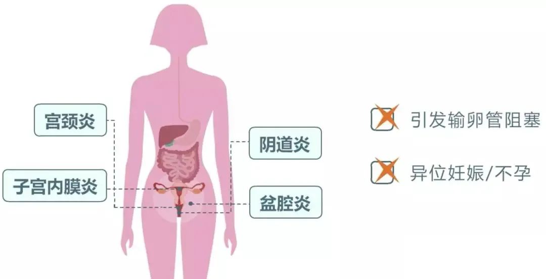 备孕检查项目