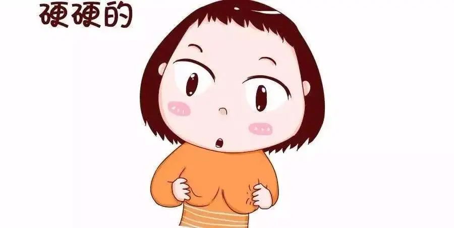 乳腺纤维瘤