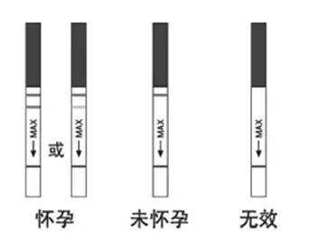 验孕棒，早孕检查