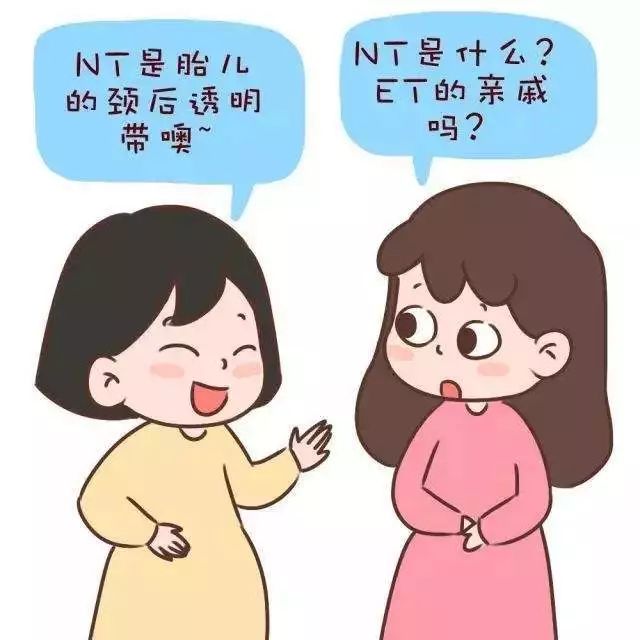 nt检查排畸检查